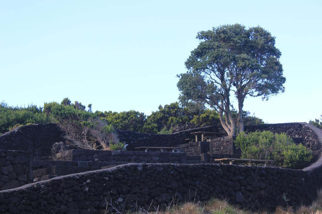 Adega Do Mirante Vila São Roque do Pico Quarto foto