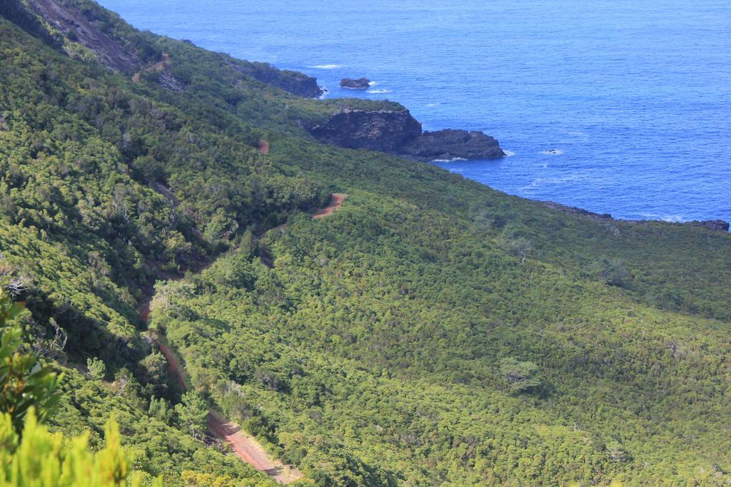 Adega Do Mirante Vila São Roque do Pico Quarto foto